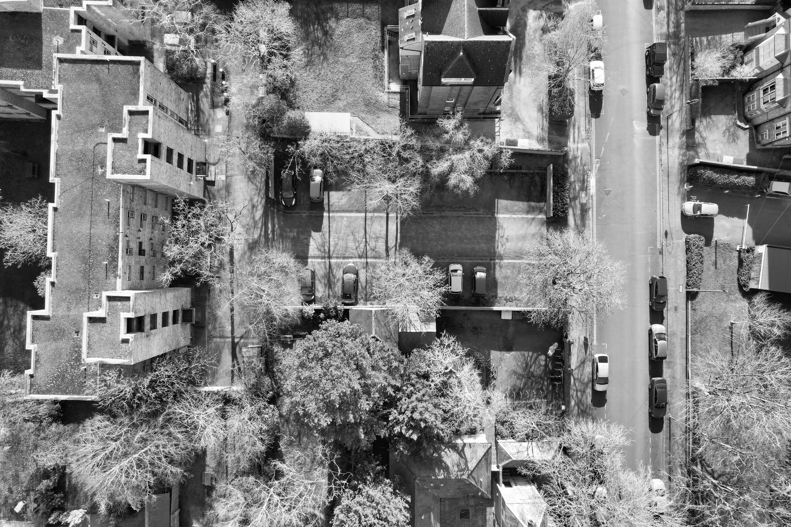 Kostenloses Stock Foto zu architektur, autos, bäume