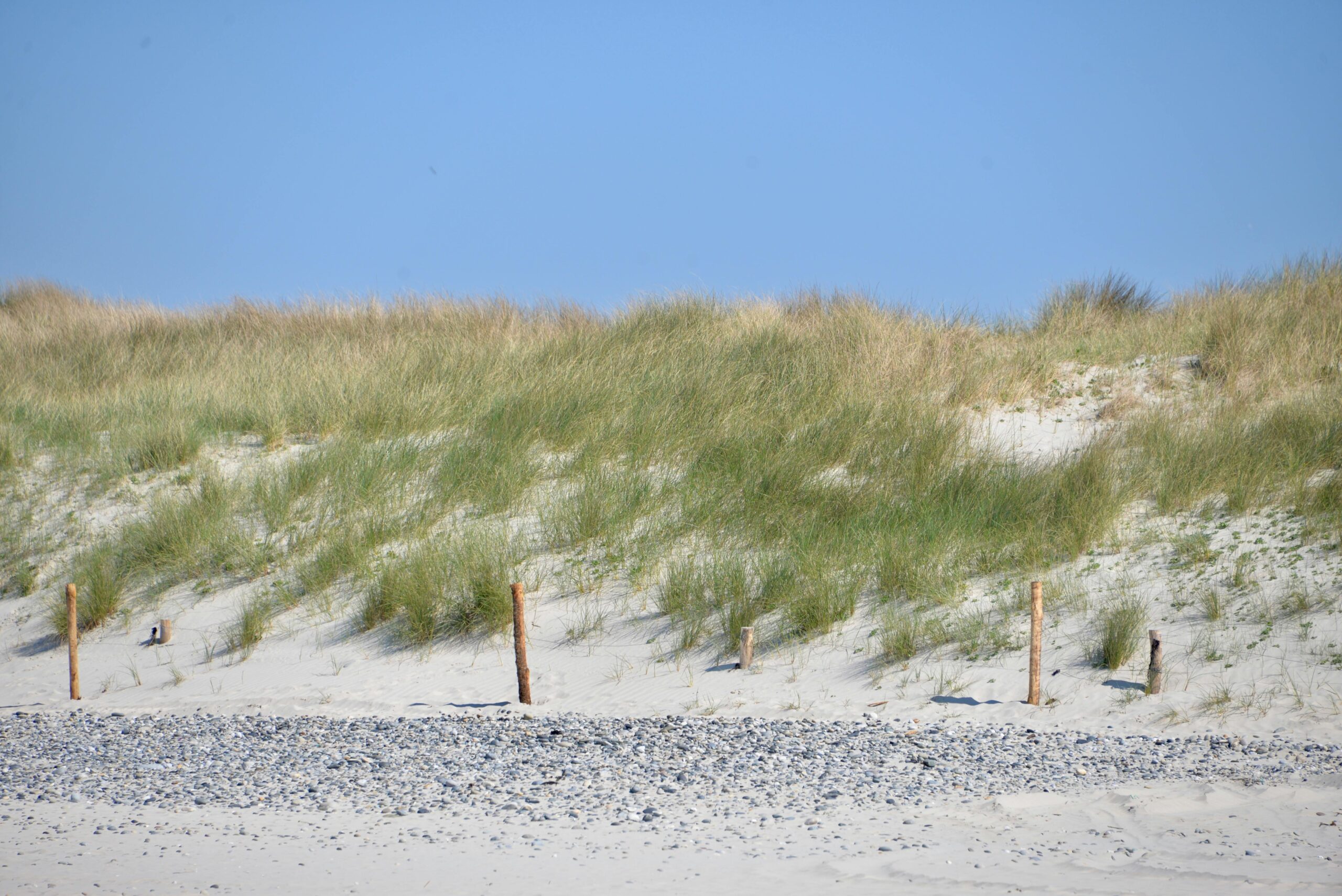 Ruhige Stranddünen in der Bretagne, Frankreich, mit Gras und klarem blauen Himmel.