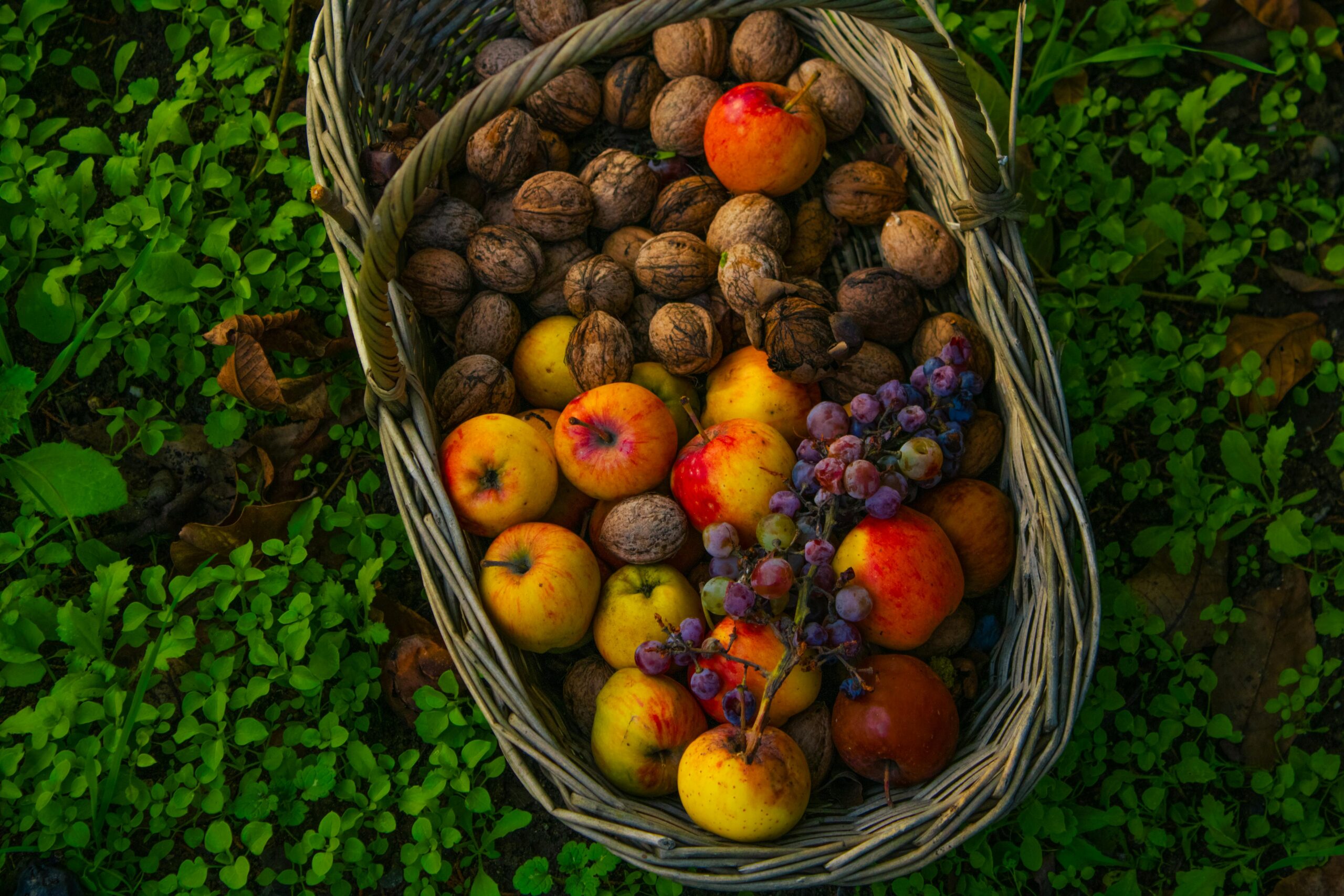 Kostenloses Stock Foto zu @draussen, äpfel, außerorts